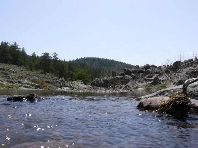 P1010406.jpg