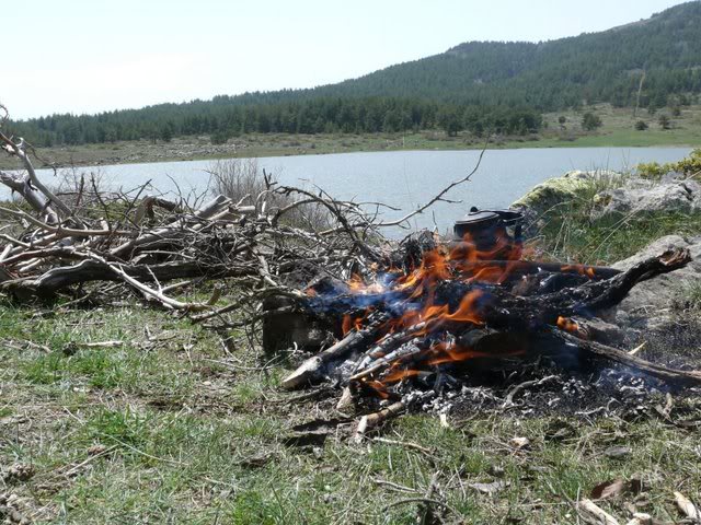 P1010416.jpg