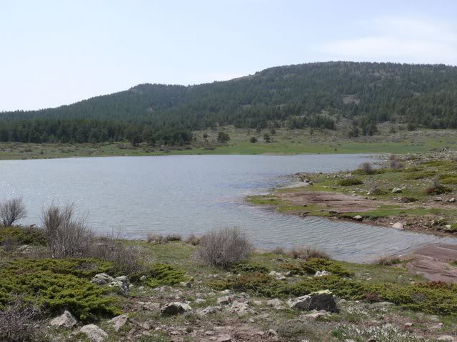 P1010425.jpg