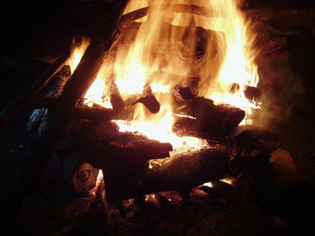 P1010426.jpg