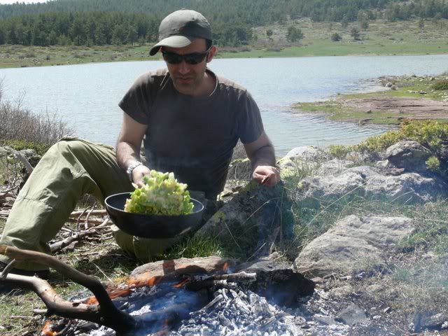 P1010429.jpg