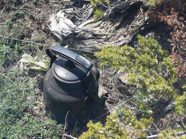 P1010431.jpg