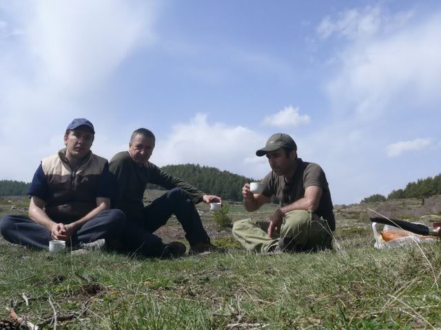 P1010446.jpg