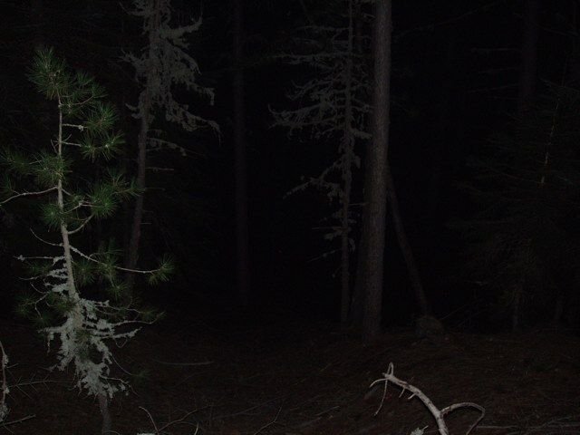 P1010451.jpg