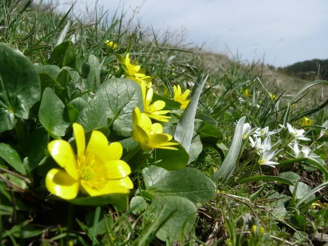 P1010457.jpg