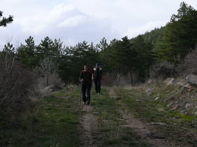 P1010482.jpg