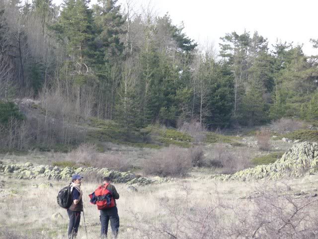 P1010503.jpg