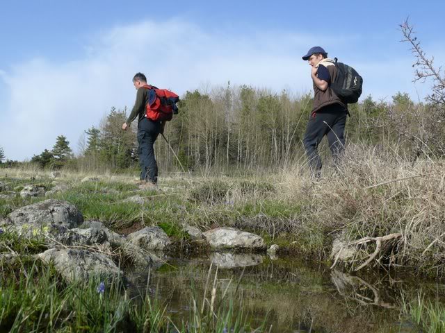 P1010504.jpg