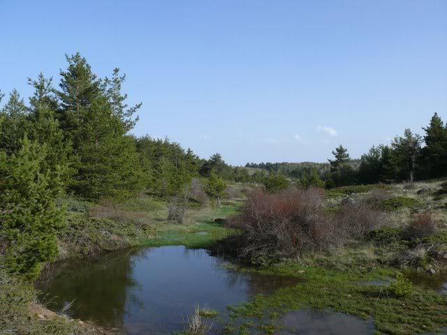 P1010516.jpg