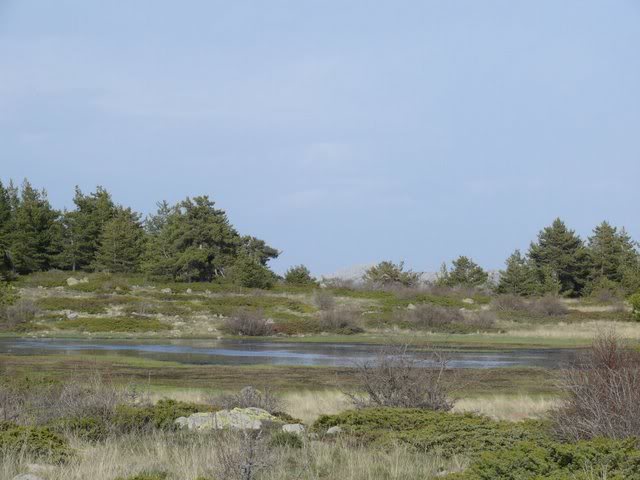 P1010517.jpg