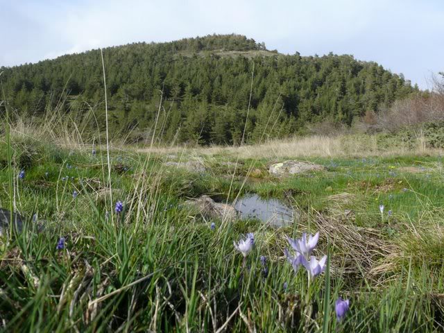 P1010522.jpg
