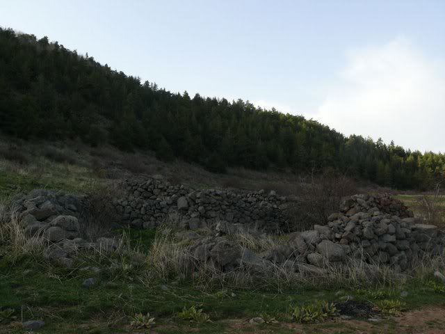P1010528.jpg