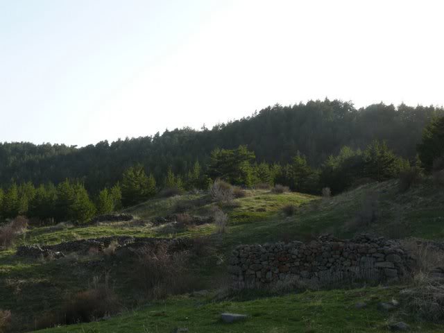 P1010529.jpg