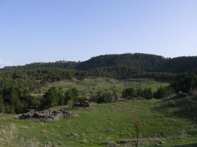 P1010530.jpg