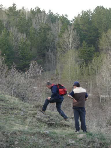 P1010571.jpg