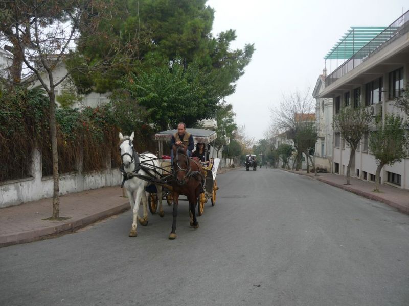 P1010824 [Desktop Resolution].jpg