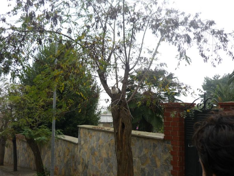 P1010828 [Desktop Resolution].jpg