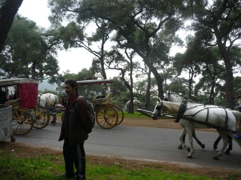 P1010837 [Desktop Resolution].jpg