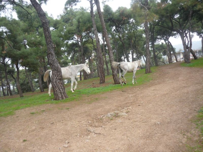 P1010842 [Desktop Resolution].jpg