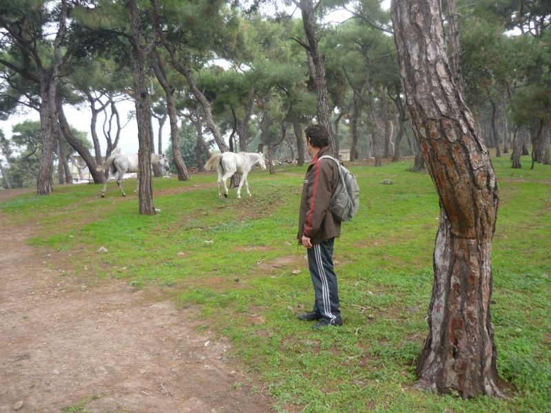 P1010843 [Desktop Resolution].jpg