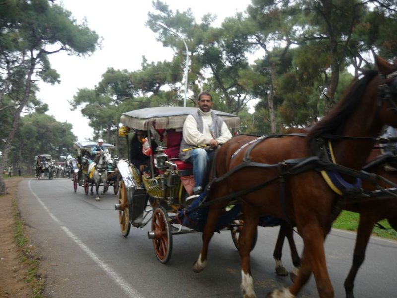 P1010844 [Desktop Resolution].jpg