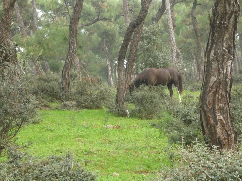 P1010845 [Desktop Resolution].jpg