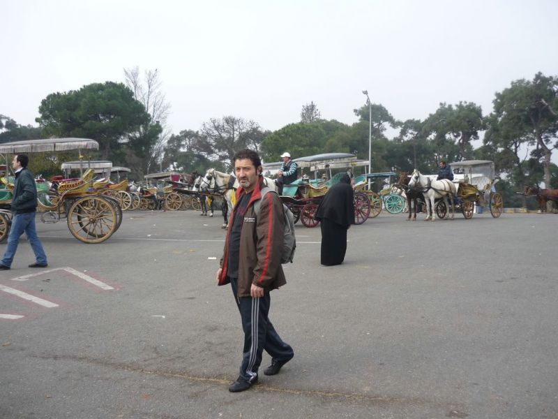 P1010846 [Desktop Resolution].jpg