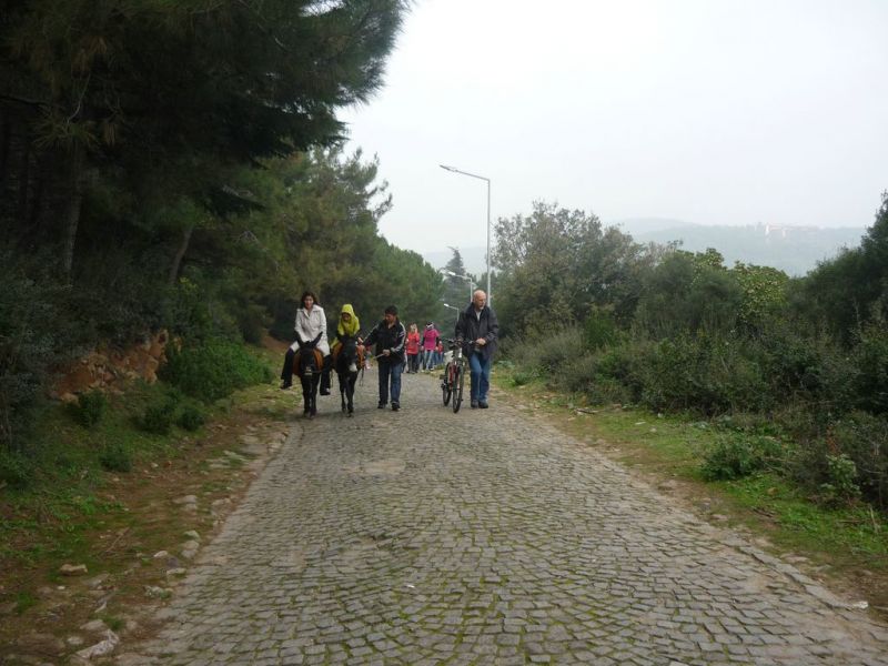 P1010850 [Desktop Resolution].jpg