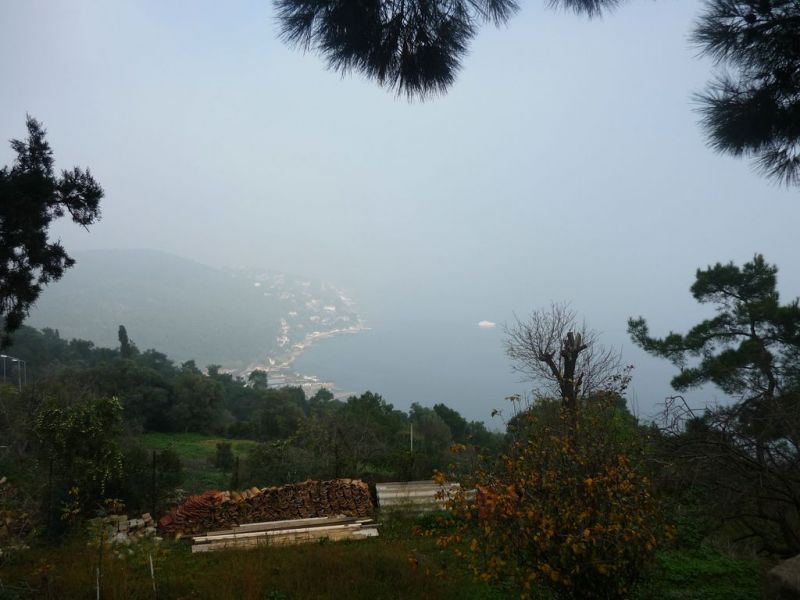 P1010852 [Desktop Resolution].jpg