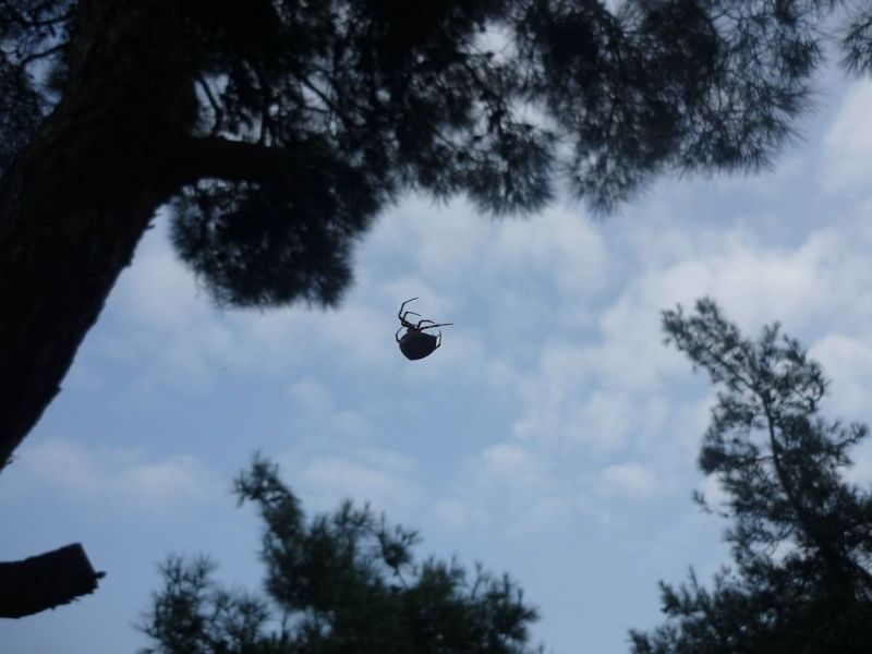 P1010876 [Desktop Resolution].jpg