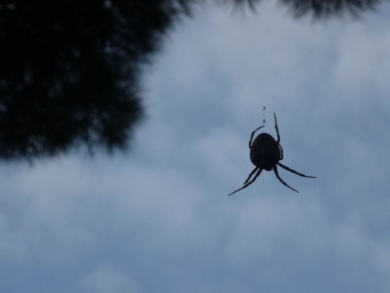 P1010877 [Desktop Resolution].jpg