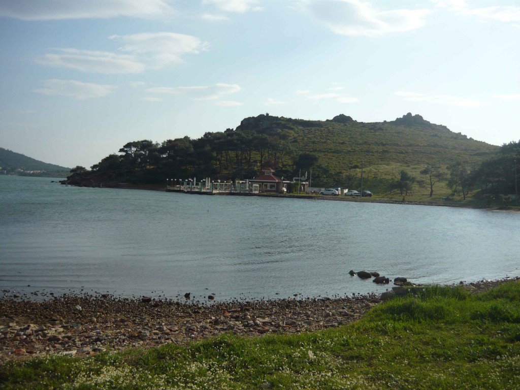 P1010997.jpg