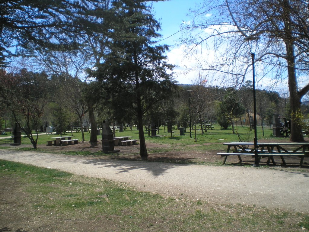 P1011512_1.JPG