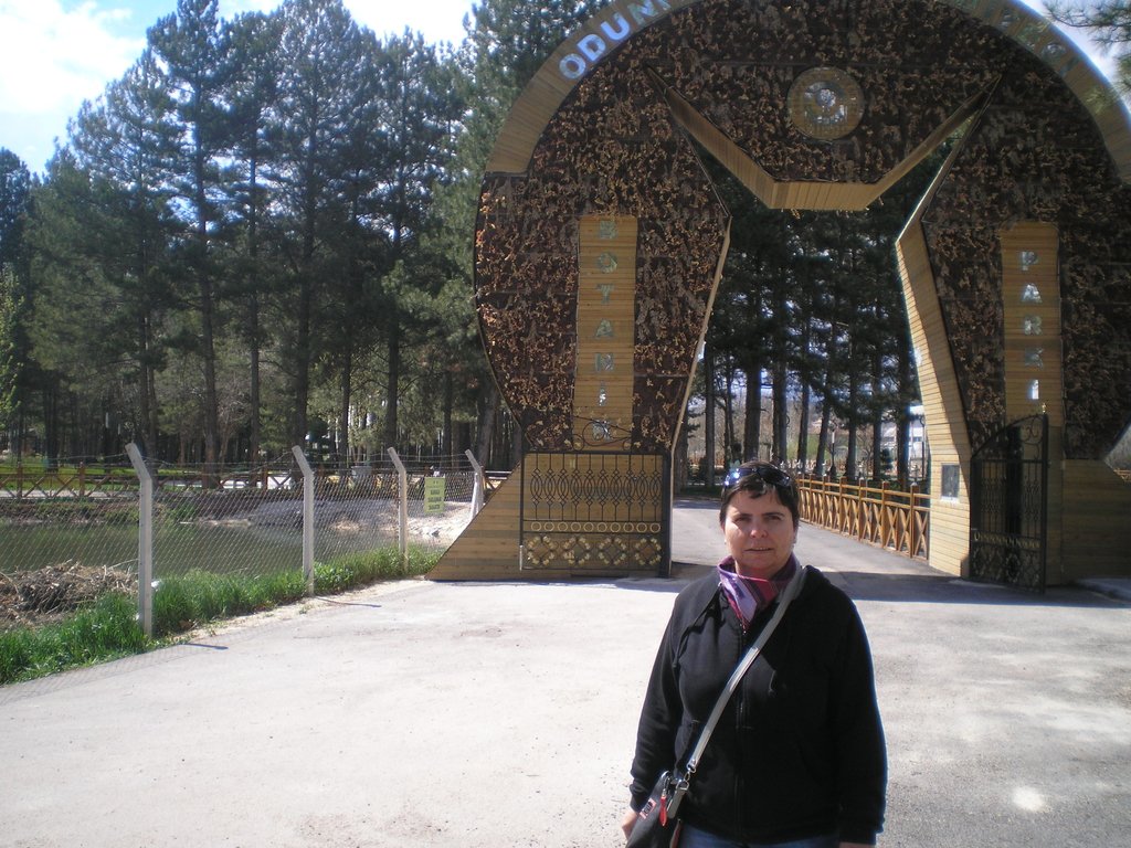 P1011515_1.JPG