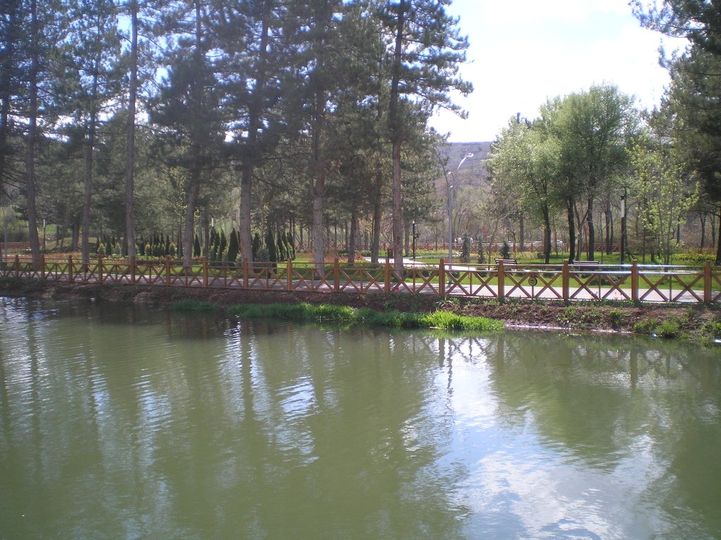 P1011517_1.JPG