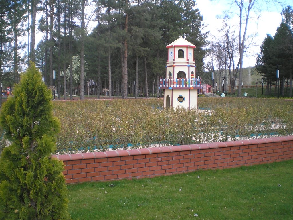 P1011531_1.JPG