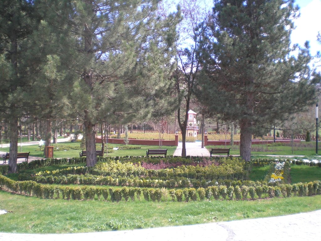 P1011535_1.JPG