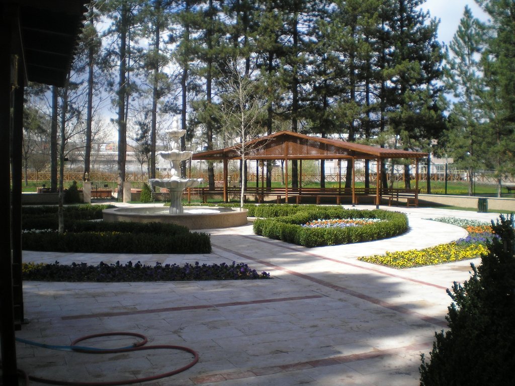 P1011542_1.JPG