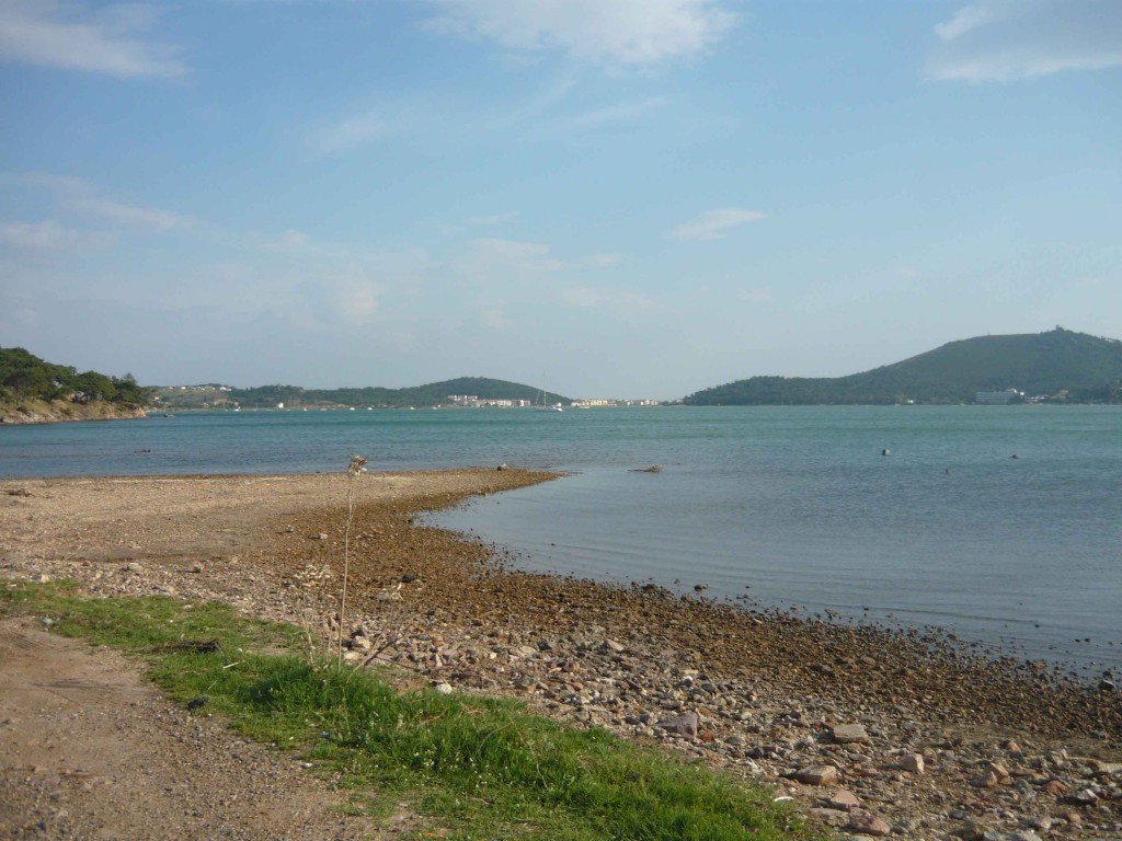 P1020001.jpg