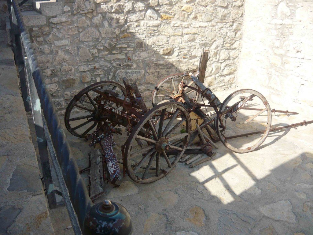 P1020022.jpg