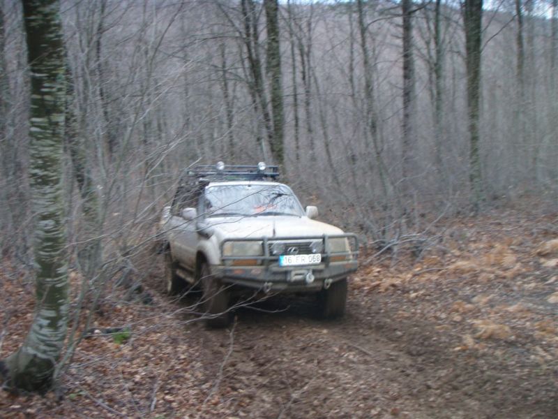 P1020023.jpg