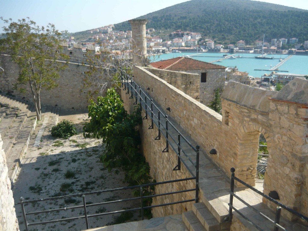 P1020024.jpg