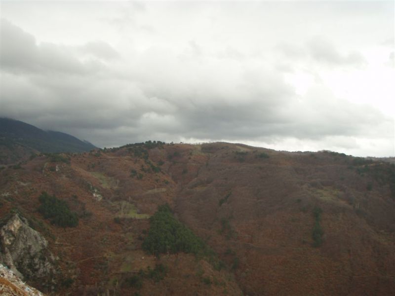 P1020030.jpg
