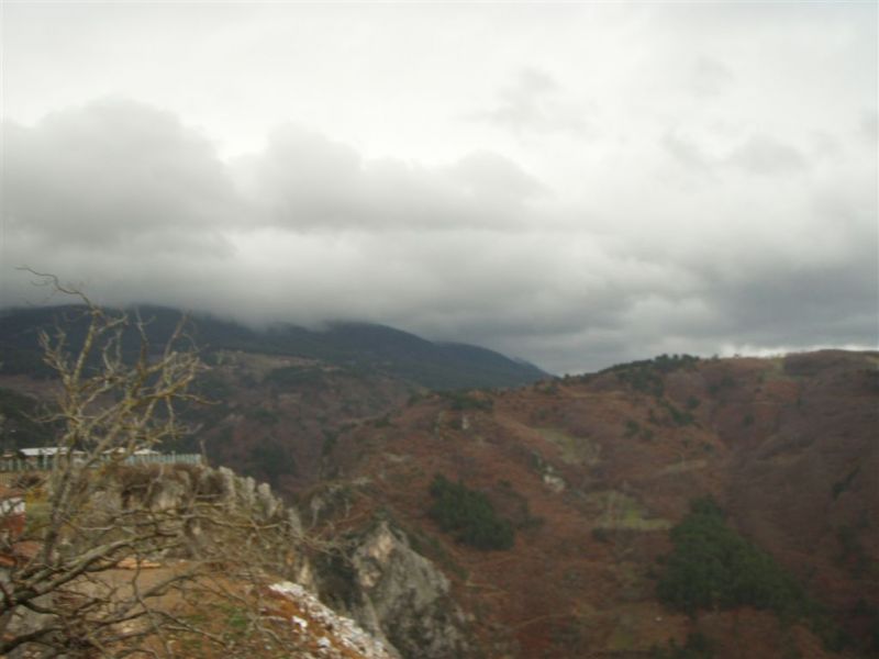 P1020031.jpg