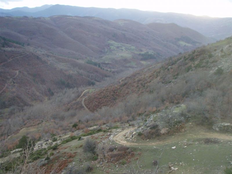 P1020038.jpg