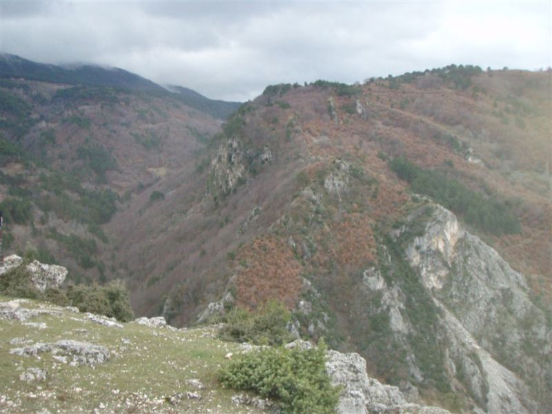 P1020042.jpg