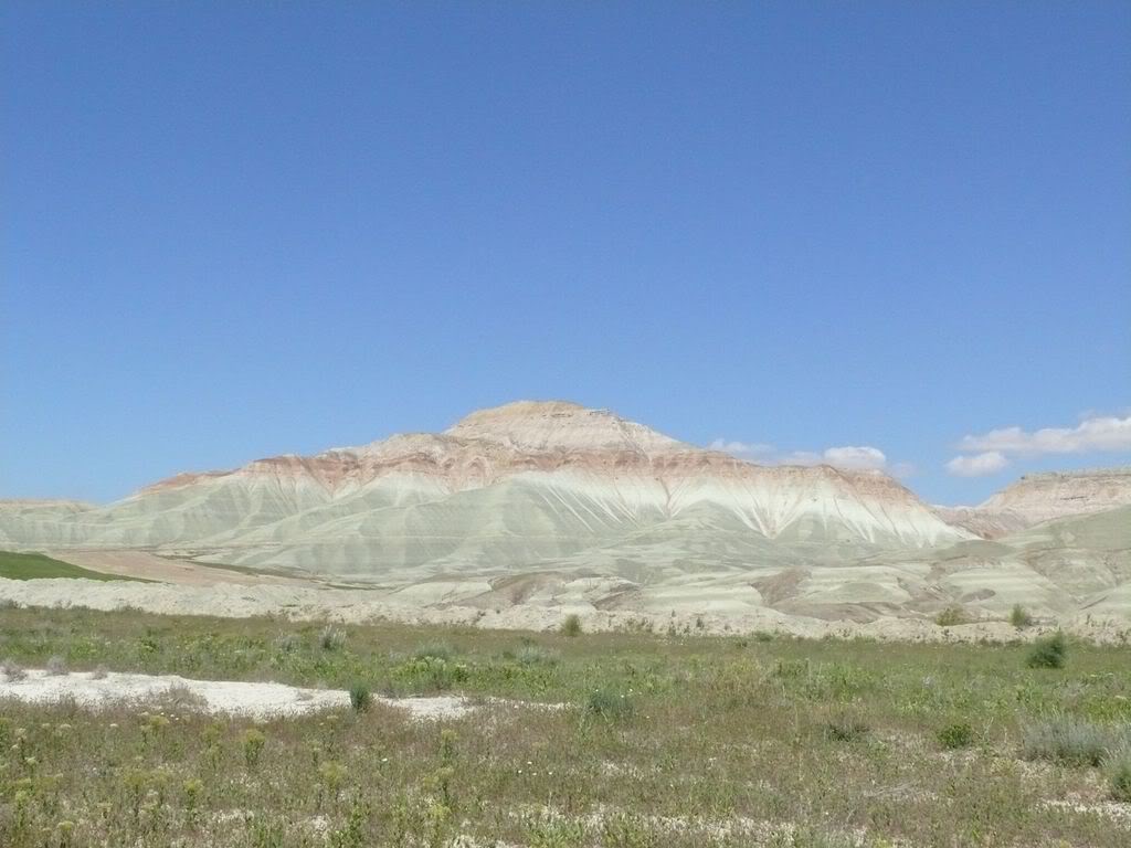 P1020165.jpg