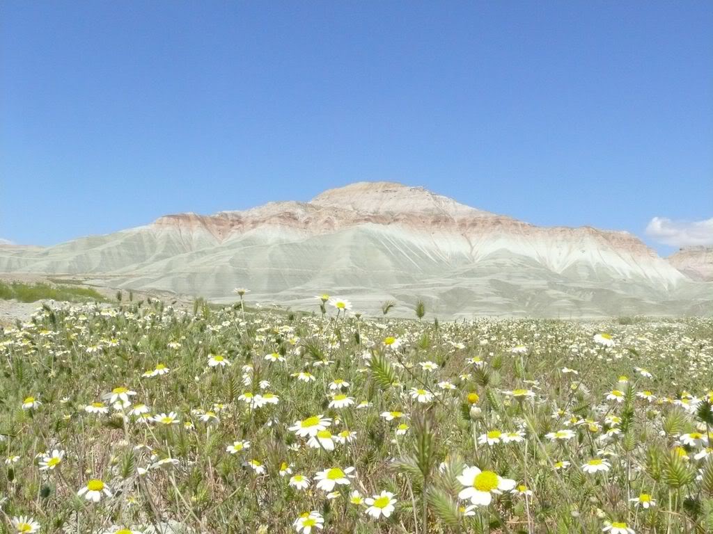 P1020174.jpg