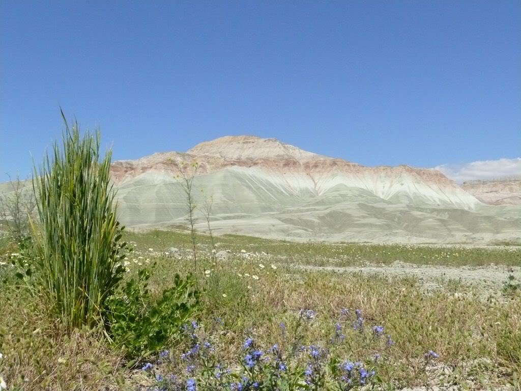 P1020177.jpg