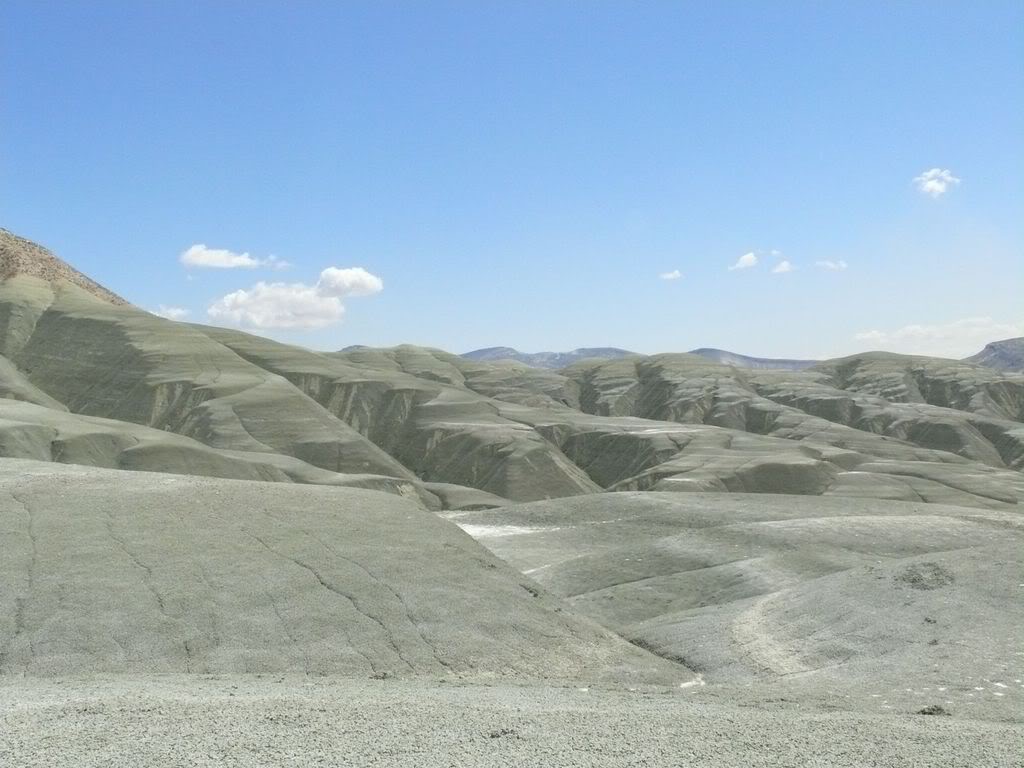 P1020189.jpg